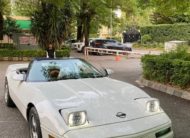 Chevrolet Corvette C4 Convertible 1992