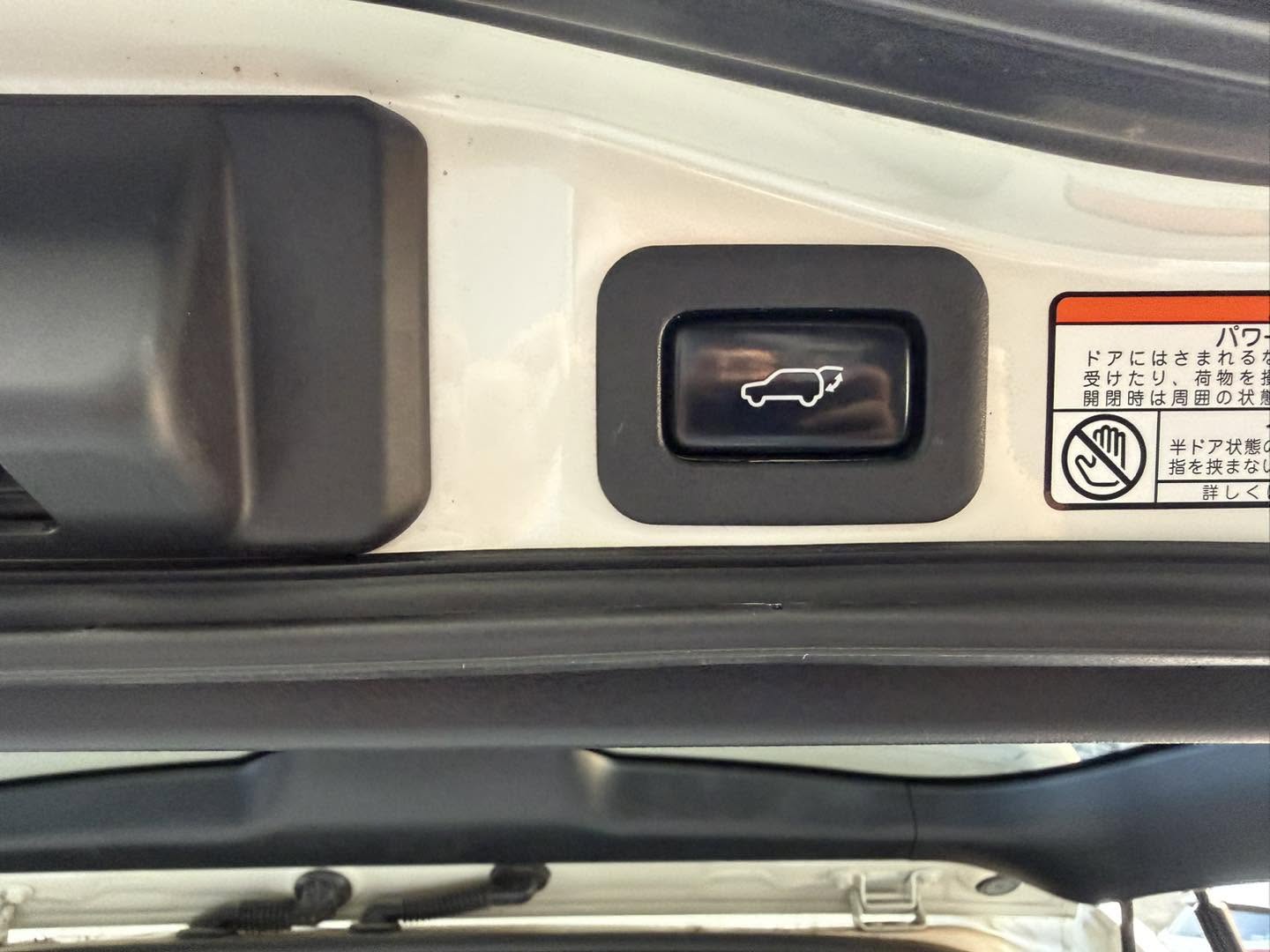 Toyota Land Cruiser ZX