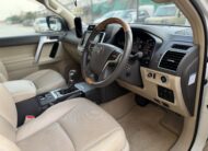 Toyota Prado TZG